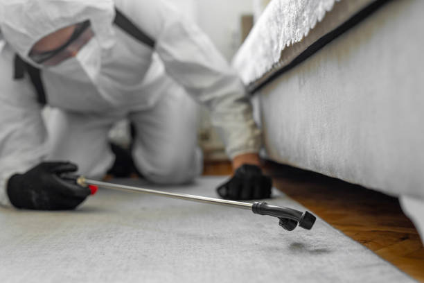 Professional Cockroach Control technician working in Heritage Village, CT